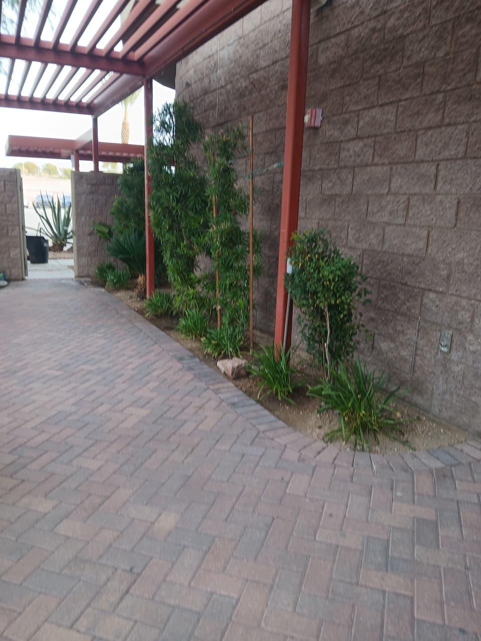 American Outdoor Living commercial landscape maintenance in Las Vegas